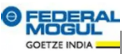 Federal Mogul